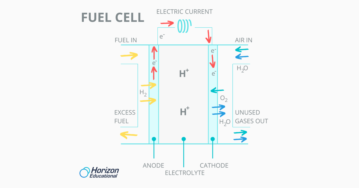 Horizon Educational Hydrogen Fuel Cells How Do They Work